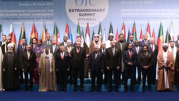 Samit Organizacija za islamsku saradnju u Istanbulu - Sputnik Srbija