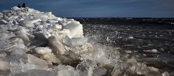 Обала Финског залива у региону Санкт Петербурга. Обала Финског залива у региону Санкт Петербурга. - Sputnik Србија
