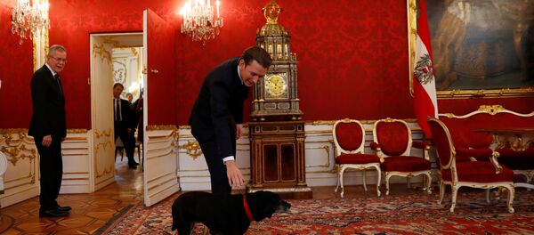 Sebastijan Kurc miluje psa posle sastanka sa predsednikom Austrije Aleksanderom van der Belenom. - Sputnik Srbija