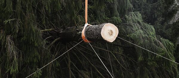 Новогодишња јелка у Русији Новогодишња јелка у Русији - Sputnik Србија