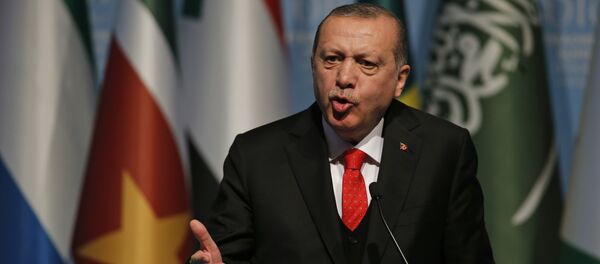 Redžep Tajip Erdogan Redžep Tajip Erdogan - Sputnik Srbija