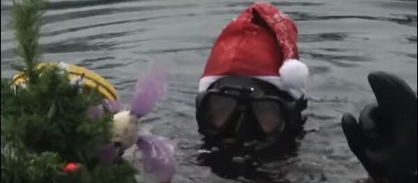 Ронилац са јелком - Sputnik Србија