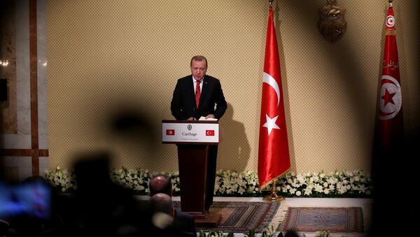 Predsednik Turske Redžep Tajip Erdogan na konferenciji za medije u Tunisu - Sputnik Srbija