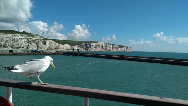 Fatamorgana Londona: Vide veliku seobu Iranaca — kroz Srbiju! - Sputnik Srbija