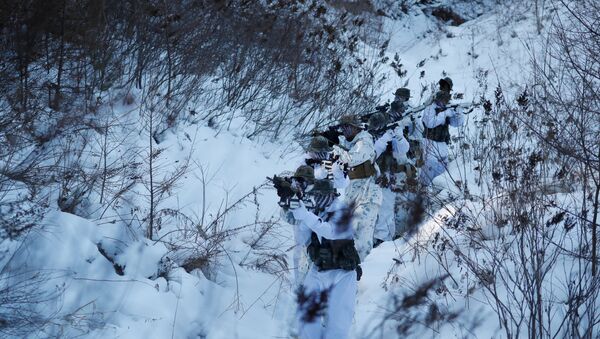 Južnokorejski i američki marinci tokom zimskih vojnih vežbi u Pjongčangu u Južnoj Koreji - Sputnik Srbija