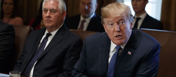 Президент США Дональд Трамп и госсекретарь США Рекс Тиллерсон во время заседания кабинета министров в Белом доме - Sputnik Србија
