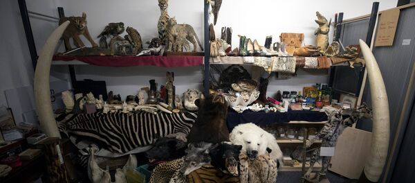 Роба заплењена од путника на аеродрому Хитроу у Лондону Роба заплењена од путника на аеродрому Хитроу у Лондону - Sputnik Србија