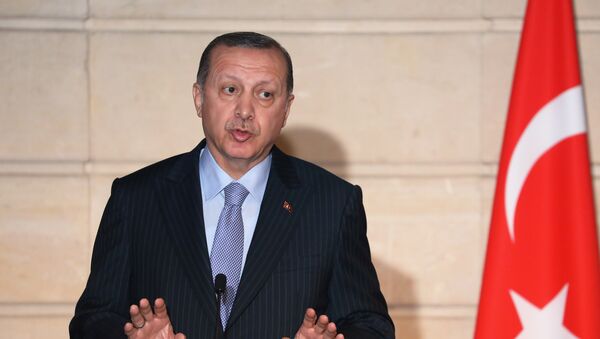 Predsednik Turske Redžep Tajip Erdogan na zajedničkoj konferenciji za medije sa francuskim predsednikom Emanuelom Makronom u Jelisejskoj palati u Parizu - Sputnik Srbija