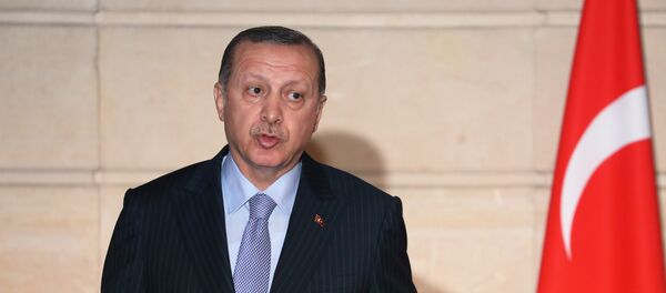 Predsednik Turske Redžep Tajip Erdogan na zajedničkoj konferenciji za medije sa francuskim predsednikom Emanuelom Makronom u Jelisejskoj palati u Parizu - Sputnik Srbija