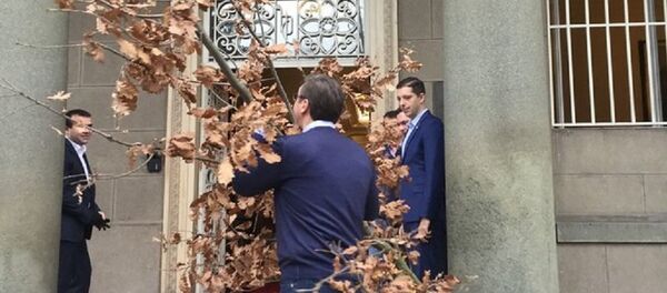 Aleksandar Vučić unosi badnjak u Predsedništvo - Sputnik Srbija