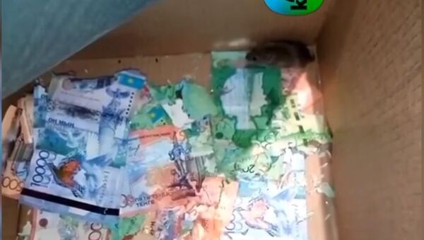 Miševi ušli u bankomat i pojeli sav novac - Sputnik Srbija