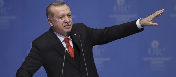 Председник Турске Реџеп Тајип Ердоган - Sputnik Србија