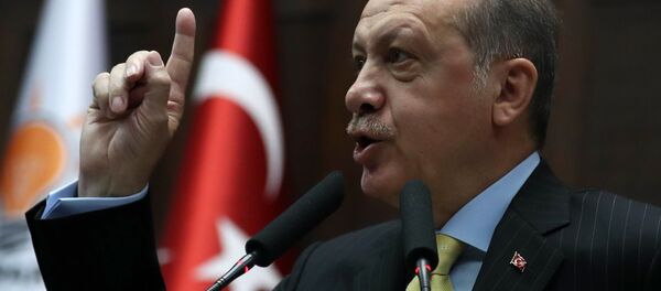 Председник Турске Реџеп Тајип Ердоган Председник Турске Реџеп Тајип Ердоган - Sputnik Србија