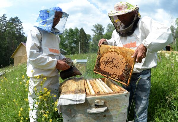 Спутњик истражује: Како ће Србија помоћи сељацима који трпе велику штету због ванредног стања  - Sputnik Србија