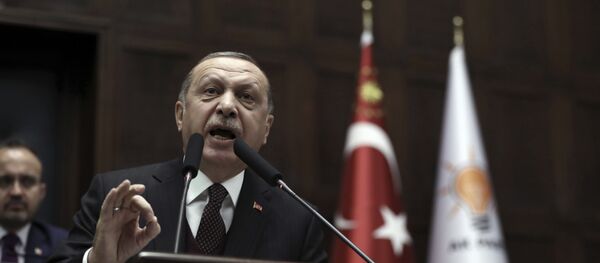 Председник Турске Реџеп Тајип Ердоган - Sputnik Србија