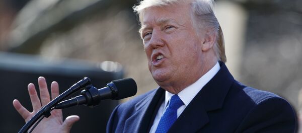 Predsednik SAD Donald Tramp Predsednik SAD Donald Tramp - Sputnik Srbija