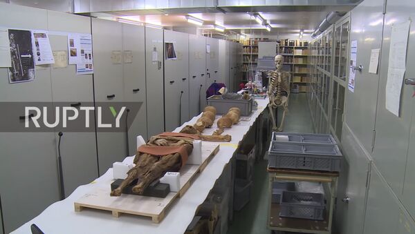 Mumija u muzeju u Bazelu - Sputnik Srbija