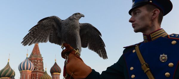 Jastreb ispred Kremlja Jastreb ispred Kremlja - Sputnik Srbija