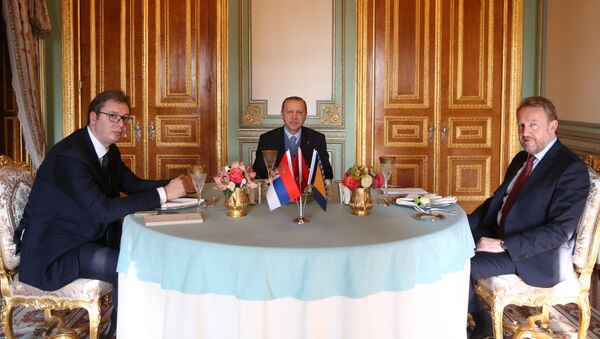 Aleksandar Vučić, Bakir Izetbegović i Redžep Tajip Erdogan u predsedničkoj palati u Istanbulu - Sputnik Srbija