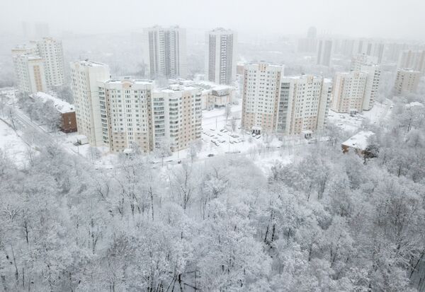 Одвезено је и исечено око 1.600 палог дрвећа,  - Sputnik Србија