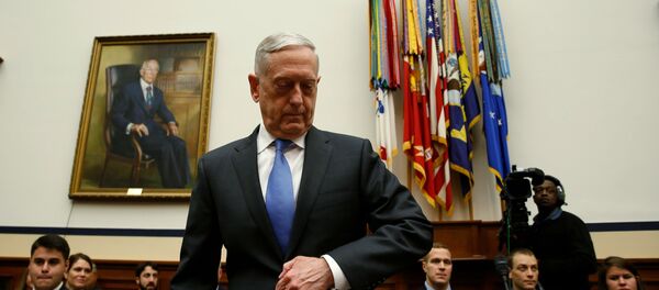 Ministar odbrane SAD Džejms Matis na saslušanju u Kongresu - Sputnik Srbija