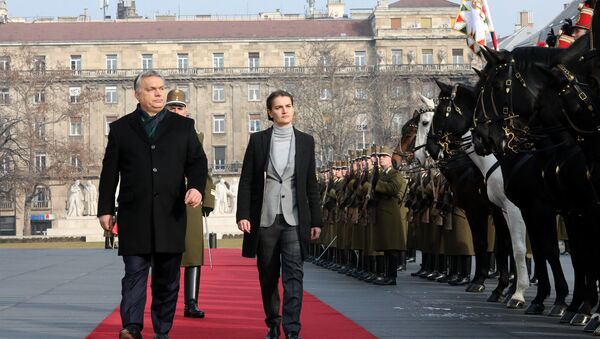 Premijer Mađarske Vikotr Orban i premijerka Srbije Ana Brnabić - Sputnik Srbija