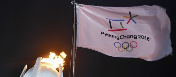 Zastava ispred olimpijskog plamena na ceremoniji otvaranja Zimskih olimpijskih igara u Pjongčangu Zastava ispred olimpijskog plamena na ceremoniji otvaranja Zimskih olimpijskih igara u Pjongčangu - Sputnik Srbija