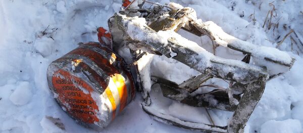 Jedna od crnih kutija sa aviona An-148 koji se srušio u Podmoskovlju - Sputnik Srbija