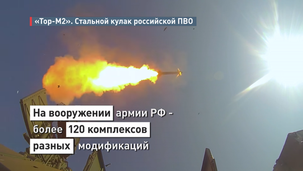 Ruska „gvozdena pesnica“ PVO: Kompleks „Tor-M2“ u 60 sekundi (video) - Sputnik Srbija
