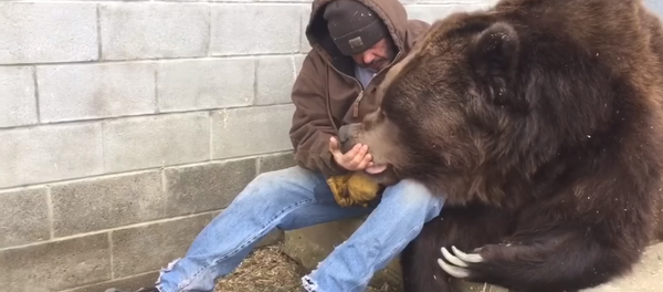 Како утешити медведа (видео) - Sputnik Србија