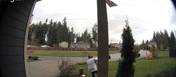 Крађа - Sputnik Србија