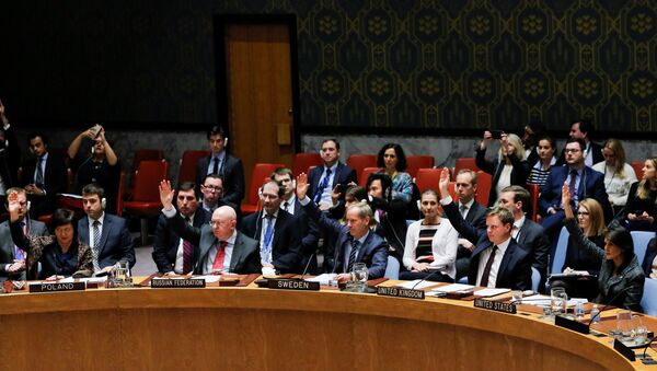 Чланови Савета безбедности УН током гласања о прекиду ватре у Сирији - Sputnik Србија