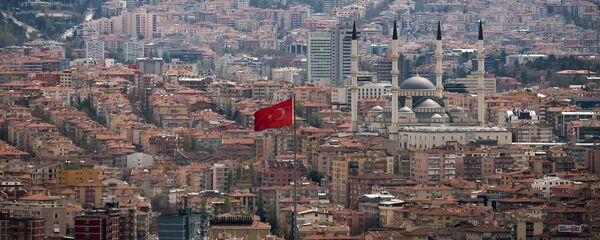 Поглед на Анкару - Sputnik Србија