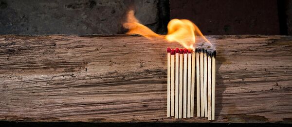 Дрво и шибице Дрво и шибице - Sputnik Србија