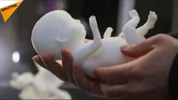 Тродимензионални модел ембриона - Sputnik Србија