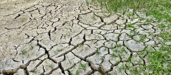 Неплодно земљиште - Sputnik Србија