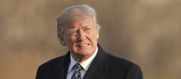 Председник САД Доналд Трамп - Sputnik Србија