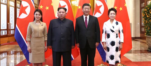 Kim Džong Un i Si Đinping - Sputnik Srbija