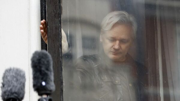 Оснивач Викиликса Џулијан Асанж у амбасади Еквадора у Лондону - Sputnik Србија