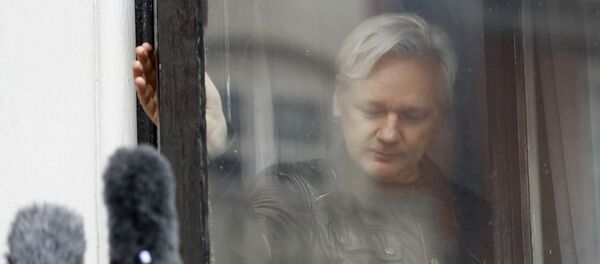 Оснивач Викиликса Џулијан Асанж у амбасади Еквадора у Лондону - Sputnik Србија