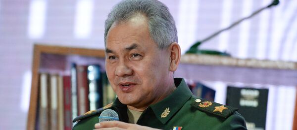 Министар одбране Русије Сергеј Шојгу - Sputnik Србија