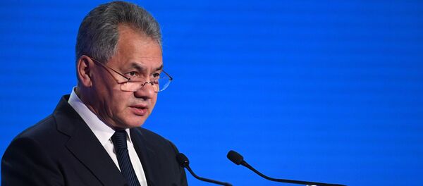 Сергеј Шојгу - Sputnik Србија