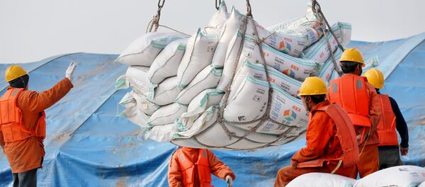 Радници истоварују производе од соје у луци Нантонг у Кини - Sputnik Србија