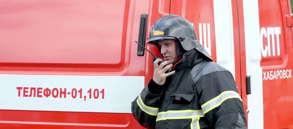 Ватрогасац поред ватрогасног возила Ватрогасац поред ватрогасног возила - Sputnik Србија