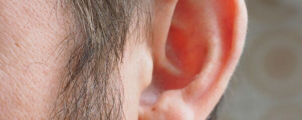 Ухо Ухо - Sputnik Србија