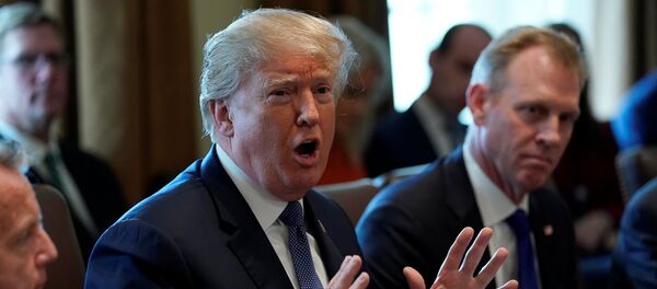 Predsednik SAD Donald Tramp na sastanku kabineta u Beloj kući - Sputnik Srbija