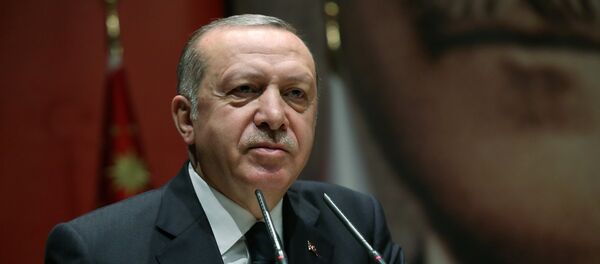 Turski predsednik Redžep Tajip Erdogan Turski predsednik Redžep Tajip Erdogan - Sputnik Srbija