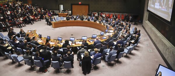 Заседање Савета безбедности УН - Sputnik Србија