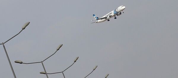 Avion sleće na aerodrom u Kairu - Sputnik Srbija