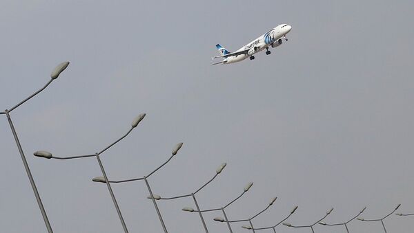 Авион слеће на аеродром у Каиру - Sputnik Србија